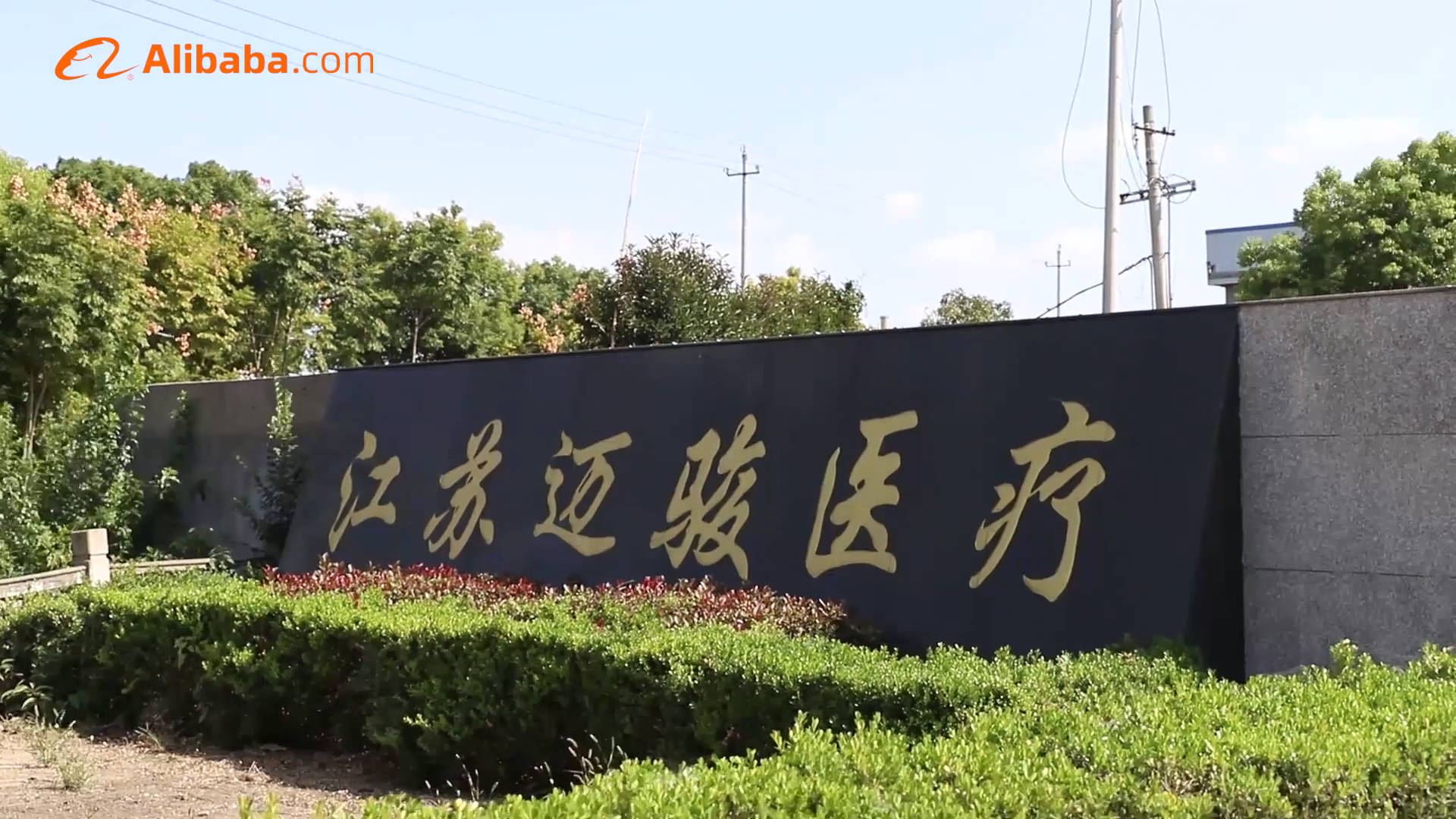 江苏迈骏.jpeg